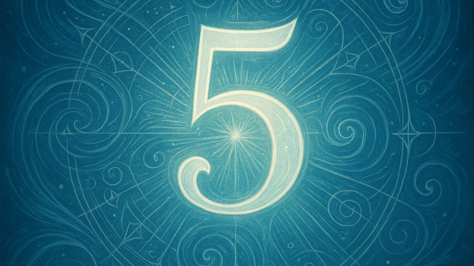 Número 5 Número 5